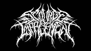 Scourge Of Impalement - 'Entrails Of The Diseased' (Pre-Production)