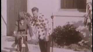 Atomic Cafe: Fallout Shelter