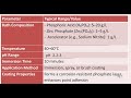 Phosphates Conversion Coating
