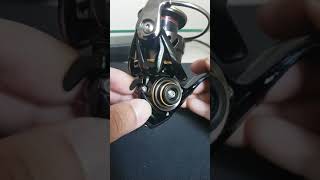 Daiwa ballistic fw 19 lt 2500s-c