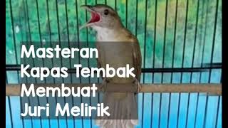 Download lagu Masteran Burung Kapas Tembak Pilihan Juri Nasional mp3 Download lagu Masteran Burung Kapas Tembak Pilihan Juri Nasional mp3