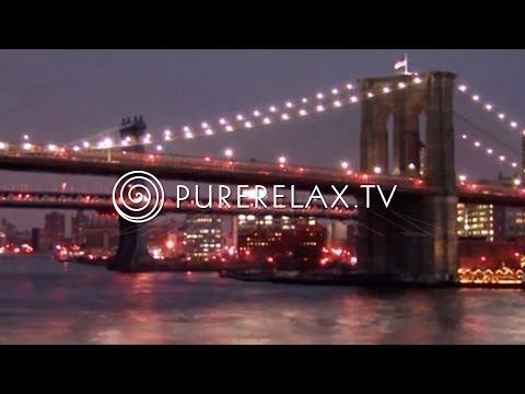 Erdenklang - Johannes Schmoelling 'The Zoo of Tranquillity' Album