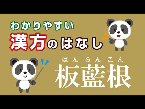 薬学科 板藍根(板藍茶・板藍のど飴)　ばんらんこん