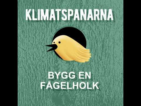 Klimatspanarna: Bygg en fågelholk