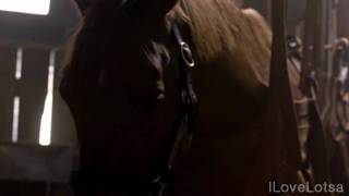 The Sun Is Slowly Sinking Down