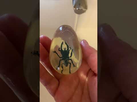 昆虫に対するカリウム石鹸 2022