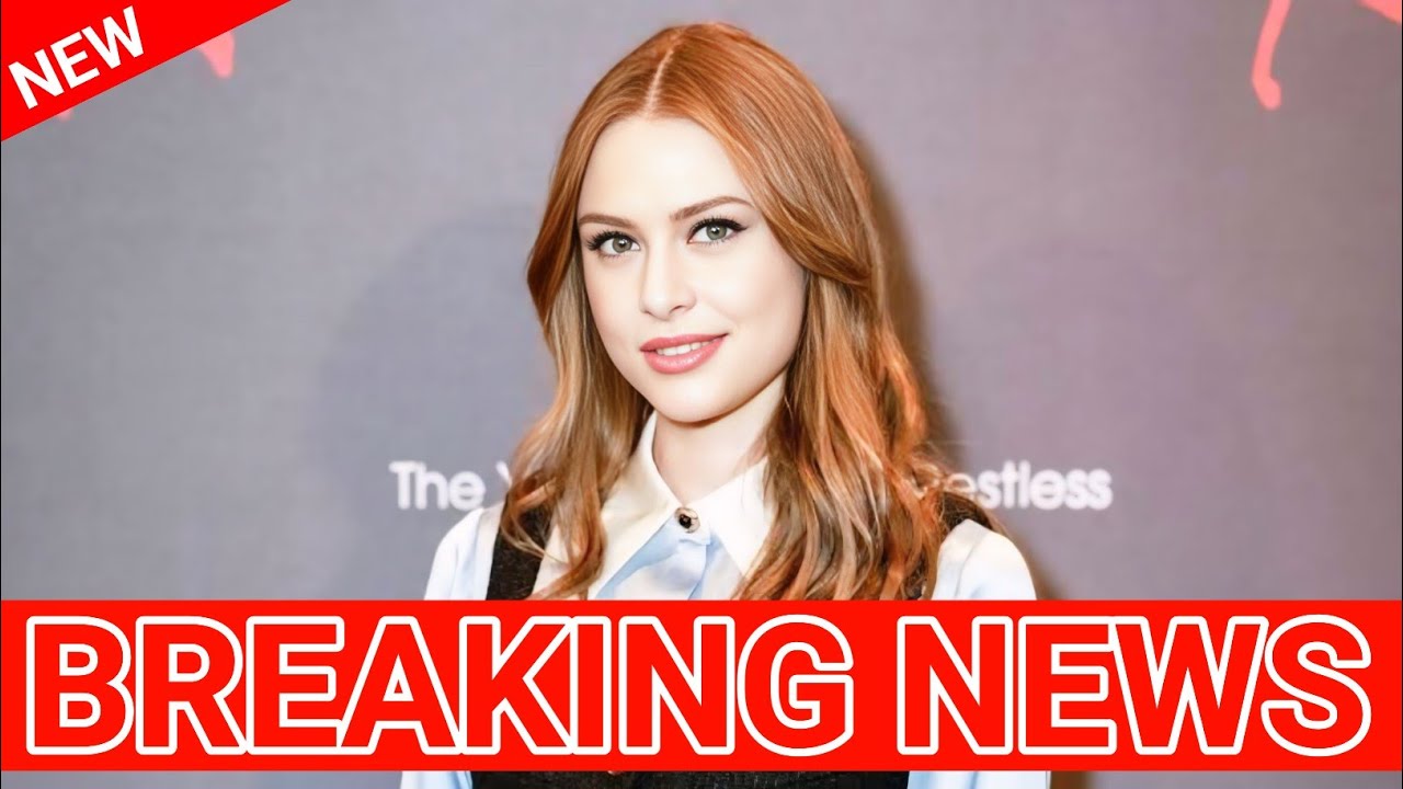 YouTube Thumbnail Downloader FULL HQ IMAGE