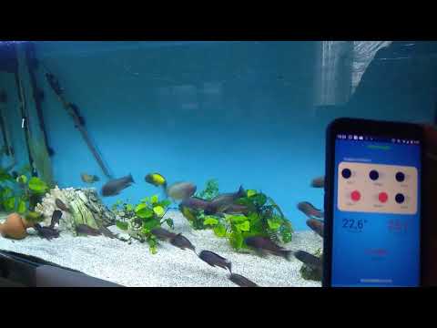 AquaBoxTR video thumbnail