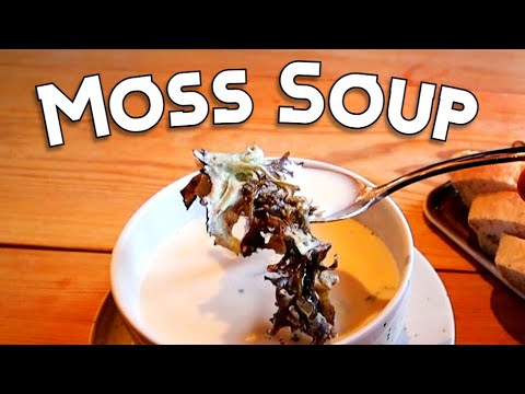 ISLÄNDISCHES MOOS – Probieren Sie traditionelle Suppen und Süßigkeiten aus dieser einheimischen P...