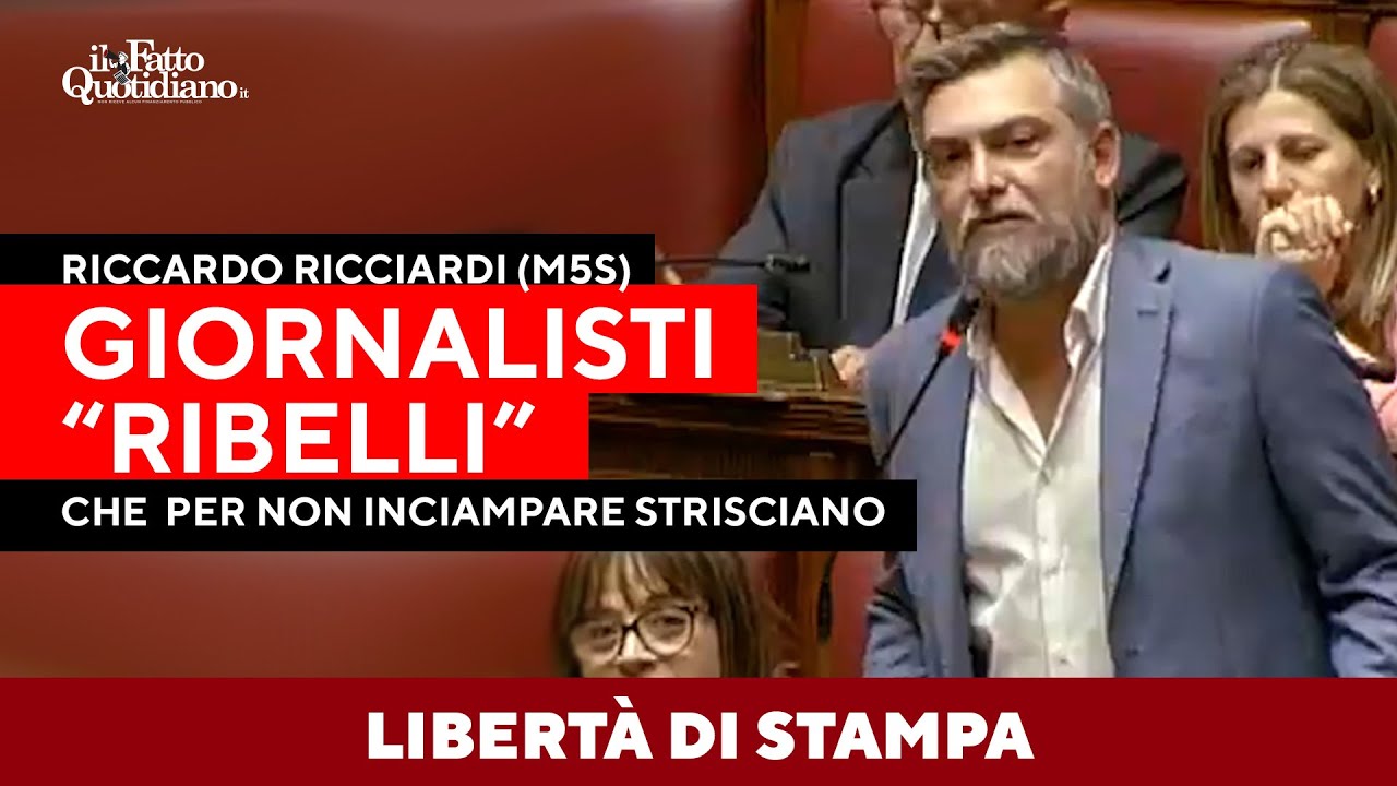 Ricciardi: "C'è la libertà di stampa... giornalisti 'ribelli' che per non inciampare strisciano"