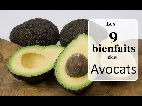 AVOCAT : 9 BIENFAITS pour la santé