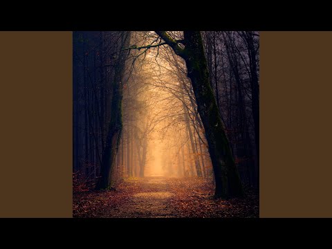 Вроде бы как