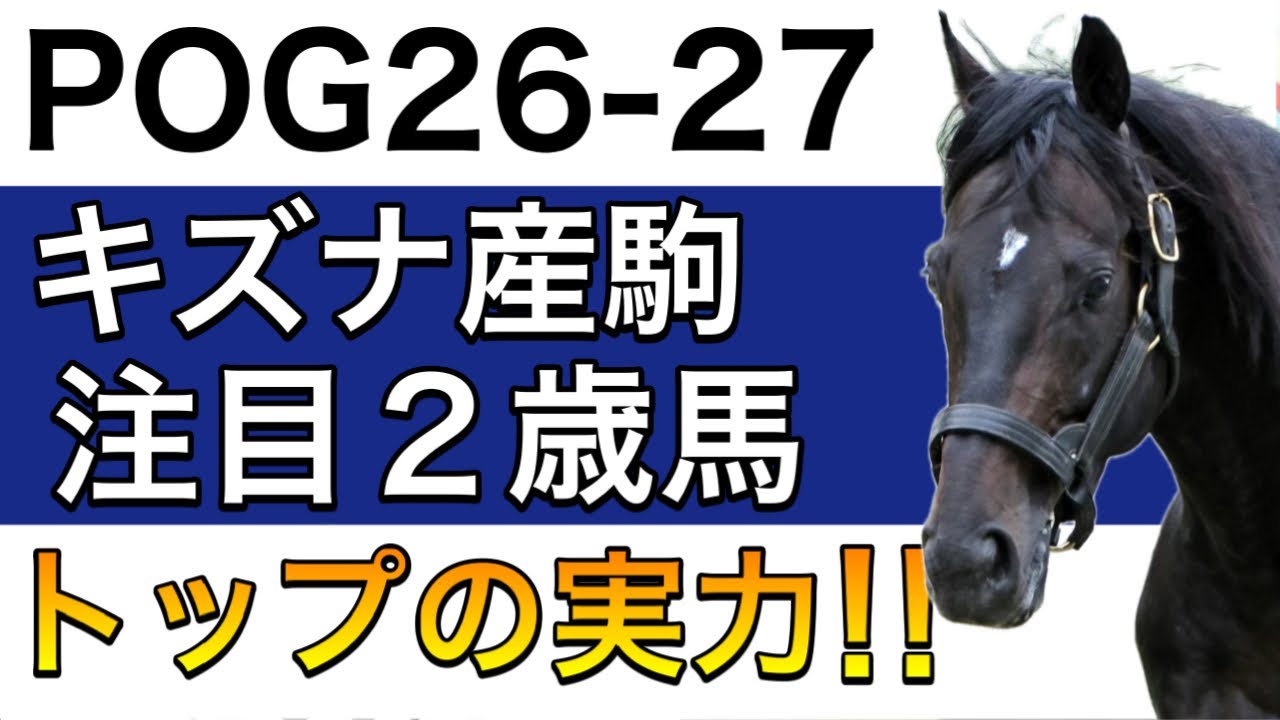 【POG/26−27】キズナ産駒の注目２歳馬をリストアップ！【リーディングトップの実力‼️次シーズン向け】