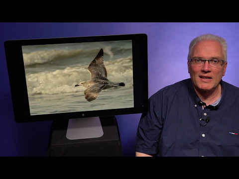 Atempause Dienstag, 16.5.2017 "Das Kriterium für eine Berufung“, Apostelgeschichte 1, 15-26