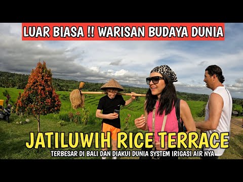 JATILUWIH TOURIST VILLAGE, BALI | UNESCO WORLD CULTURAL HERITAGE