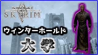 【skyrim】初見プレイ 第15話 ドラゴン対策の為にウィンターホールド大学に入学してみました