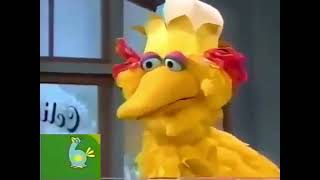 Noggin’s Let’s Do Math: The Alligator King (Sesame Street) (V2)