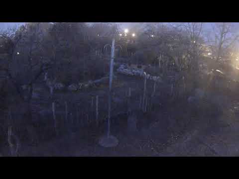 Savannah Enclosure in Budapest Zoo