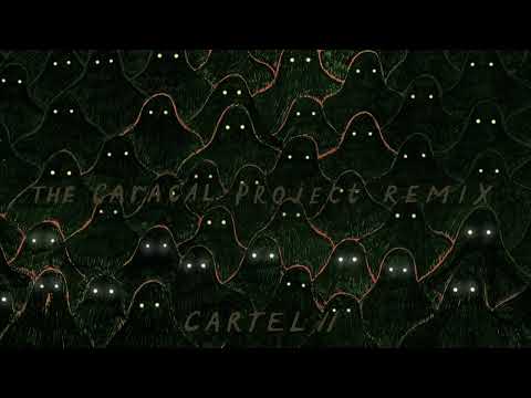 Boombox Cartel & Moody Good - Shadow (feat. Calivania) [The Caracal Project Remix]