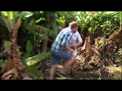 Mitch & Cam lose Lily again - modern family