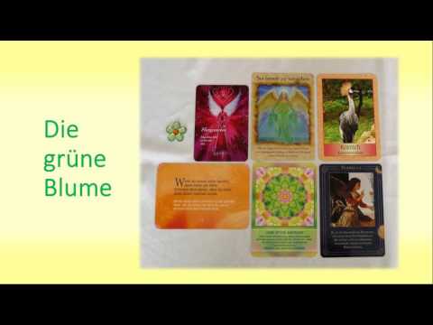 Wochenorakel 7. November bis 13. November