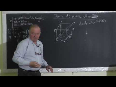 1/2 1411 Prisma Piramida Unghi diedru Unghiul a 2 drepte Unghiul unei drepte cu un plan Clasa 8