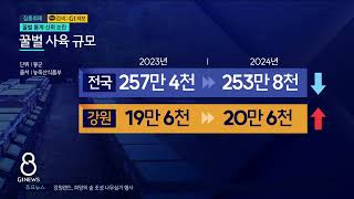 [G1뉴스](집중1) 현장에 없는 꿀벌..서류상 존재?