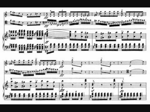Schubert - Piano Trio in E-flat D929 - II. Andante con moto (with score)