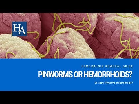 A pinworms helye. Pinworms a pápában