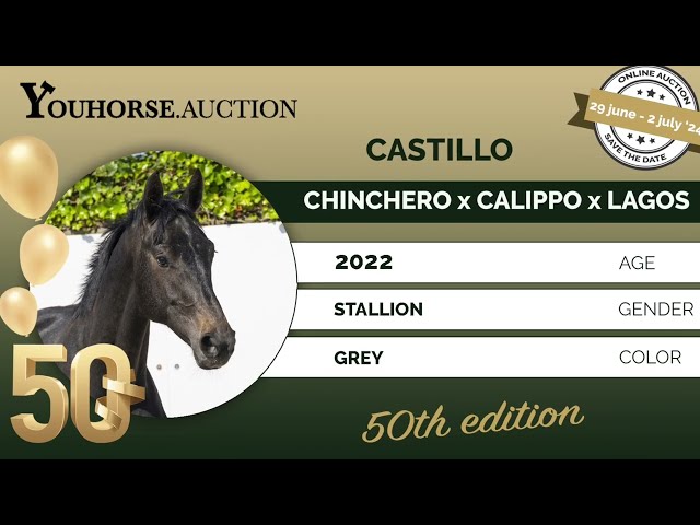 Castillo