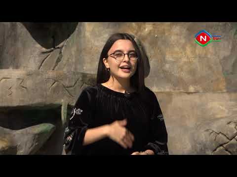 Birlikdə öyrənək- 24.10.202