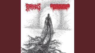Music video thumbnail preview for Encased Emanations of Scourging Suffering by Bloodsoaked Necrovoid