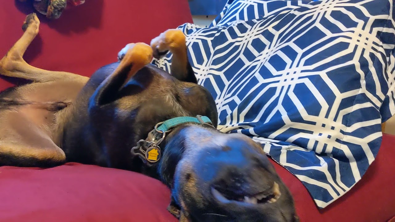 YouTube video preview