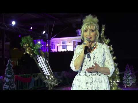 Ti-Ti Nallen Uudenvuoden jääshow - Yön värit