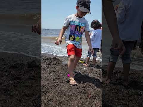 enjoying in beach...... #funnyshorts #masti #viral