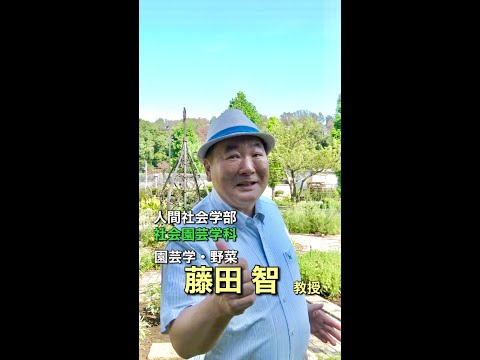 【8月6日(土)OC】藤田智先生_授業体験紹介 #Shorts