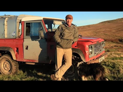 Lots will disagree with me but I live this life . #farming #food #honesty 