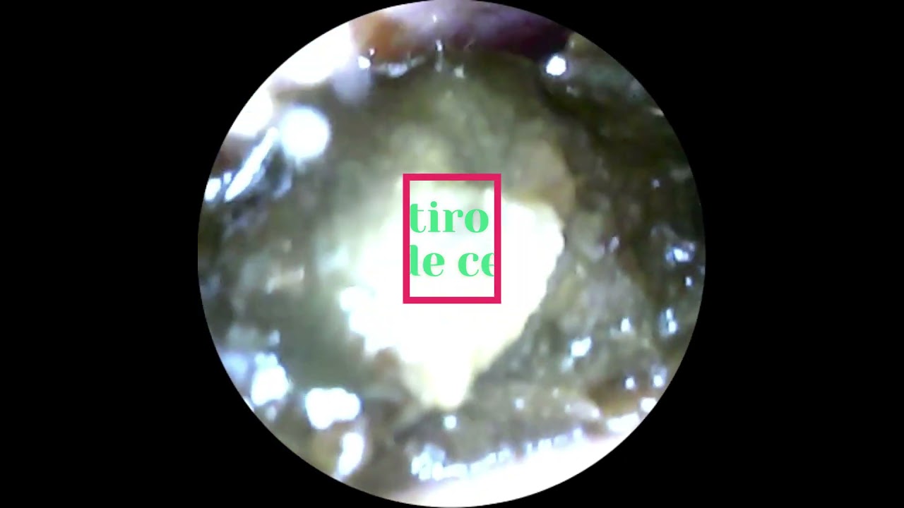 Samantha Silva Armendariz-18