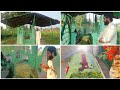 Dargah Vlog Syed Kifayat Ali Miracles Of Allah S Saint Prophet S Children