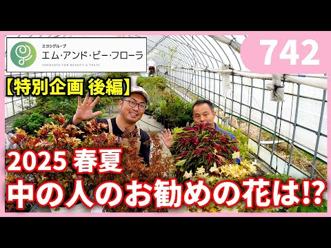 苗を何に入れますか？ 4 つの回復アイデア + ビデオ手順  庭園