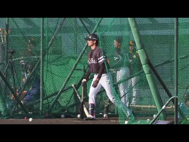 【ホークス春季キャンプ】ホークス・周東が打撃でアピール!! 2019/2/2