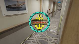 Discovery Princess Obstructed Balcony E301