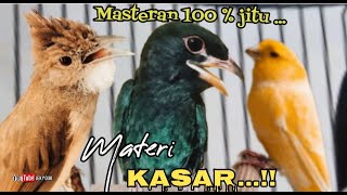 Download lagu MASTERAN 100 % JITU MATERI KASAR || jenggot - tengkek buto - kenari mp3