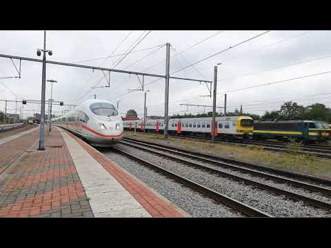 《 compilation klaxon 🇧🇪 》 #1