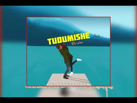 - D VOICE - Tudumishe Official Audio