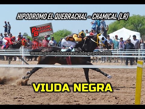 VIUDA NEGRA, Hip  El Quebrachal - Chamical (29-09-19)