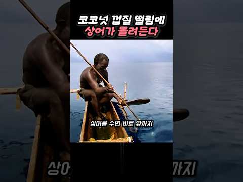 코코넛으로 바다에 진동을 보내 상어를 잡는 전통 낚시법