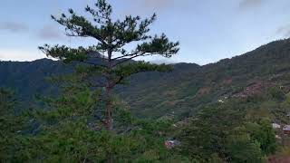 鎮西堡森籟園清晨