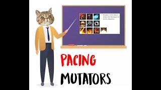 [Guide] Dealing with Pacing Mutators