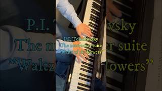Download lagu Tchaikovsky : 'Waltz of the flowers' part 3 shorts #christmas #piano #waltz #ピアノ #クリスマス #くるみ割り人形 mp3